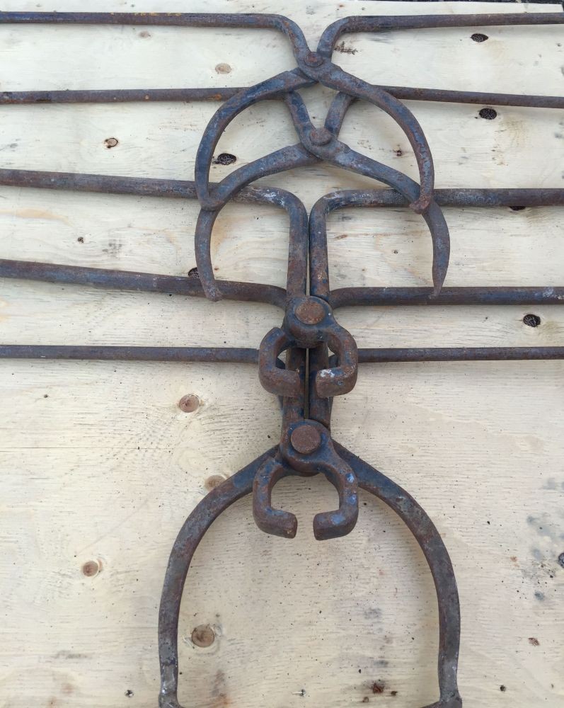 Lifting Tongs