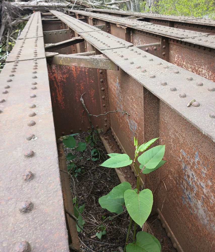 1000ft Linear Railway Bridge Beams