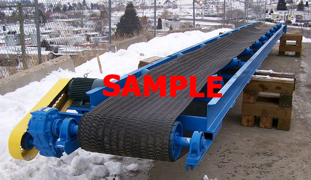36 in. Custom Built Low Profile Conveyor