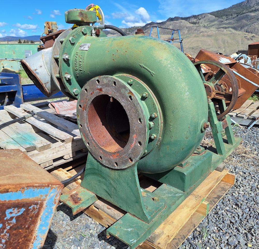 Gorman Rupp 12in x 12in Centrifugal Pump