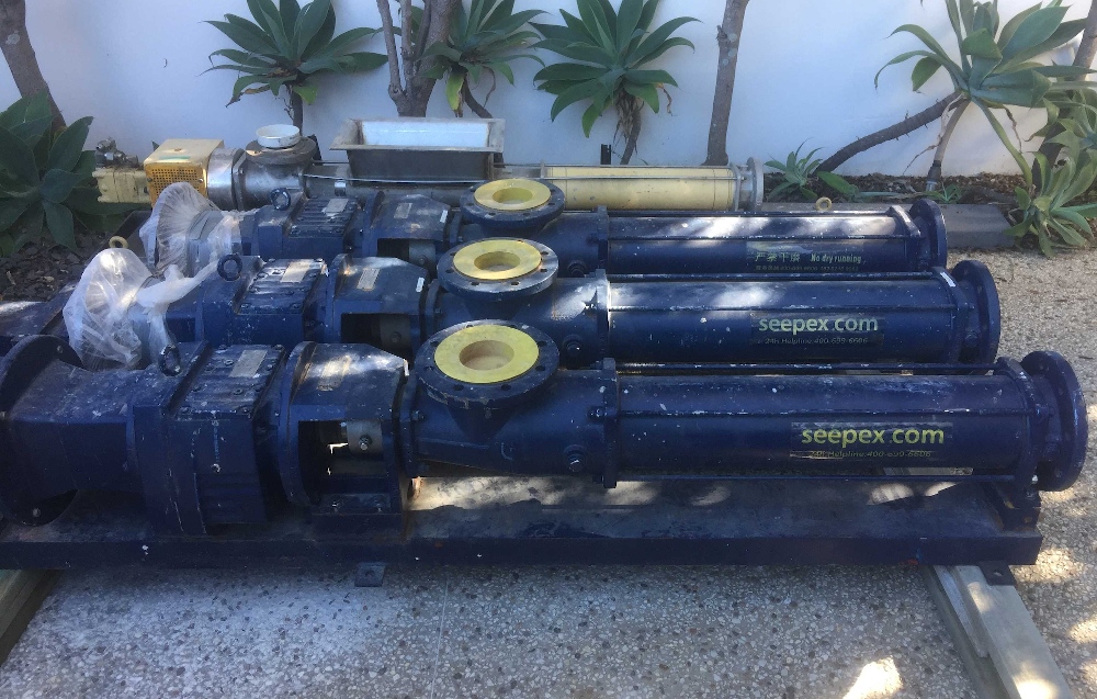 Seepex BN 52-6L Positive Displacement Pumps