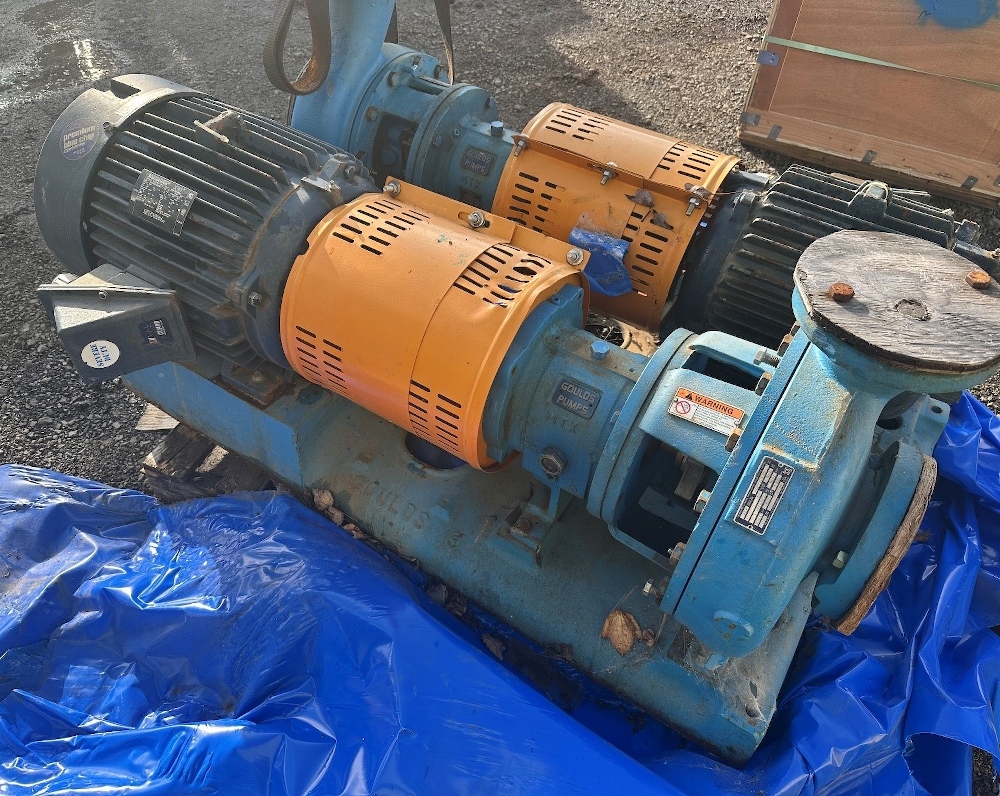 Goulds 3in x 4in 3196 Centrifugal Pump