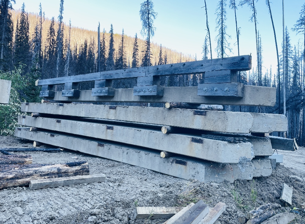 20ft Wide x 30ft Long Bridge