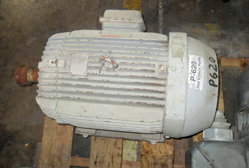 WEG 20 HP Induction Motor