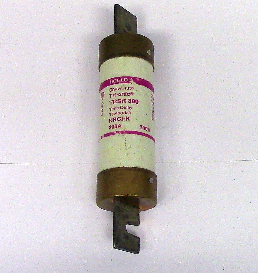Gould 300 Amp Type D Fuse