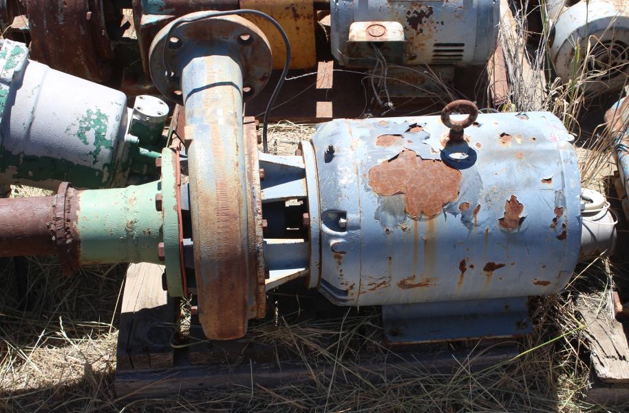Peerless 3 in. x 3 in. Centrifugal Pump