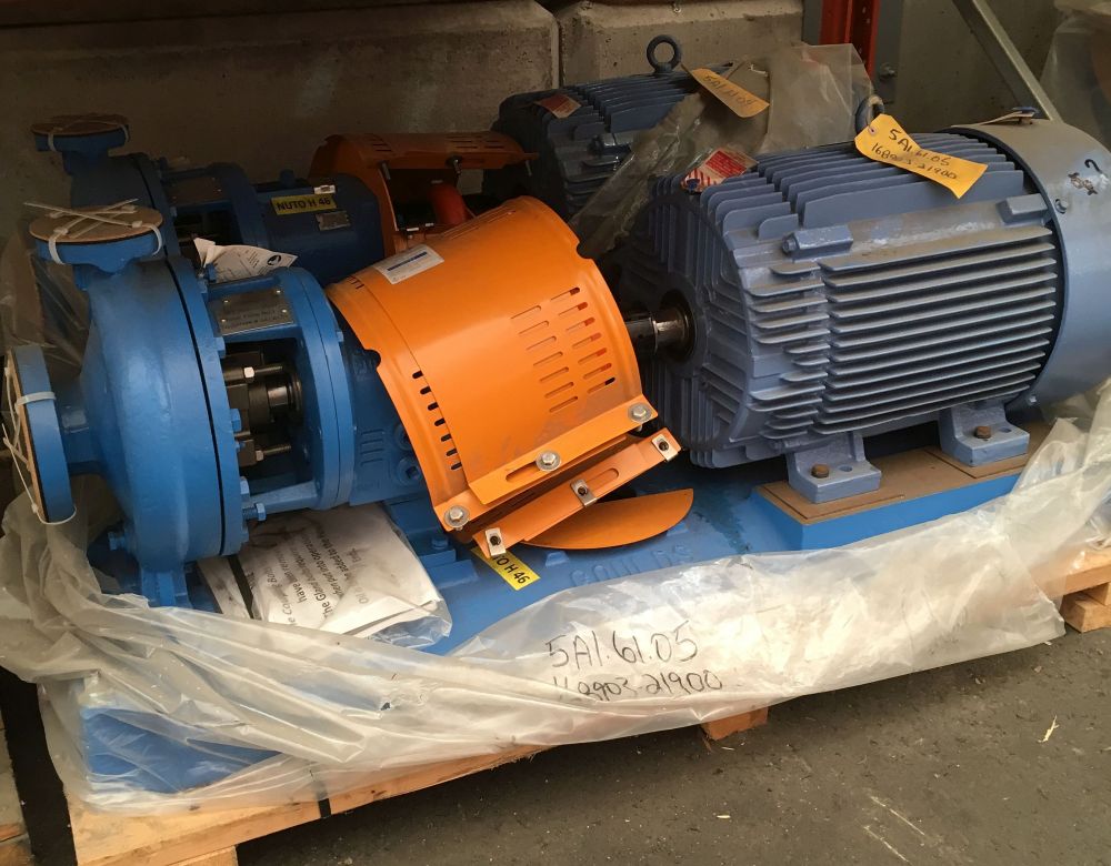 Goulds 1.5 x 3-10 Water Pumps