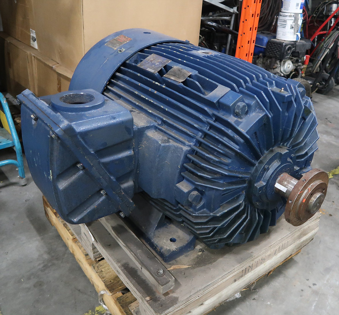 Optim TEXP HE 125 hp Motor
