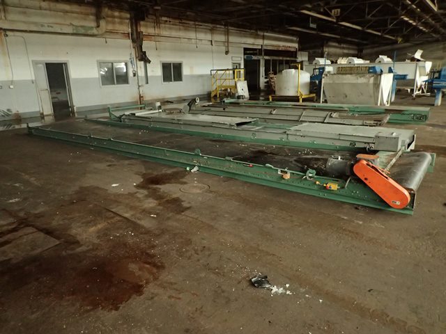 Roach 60 in. x 30 ft. Belt Conveyor