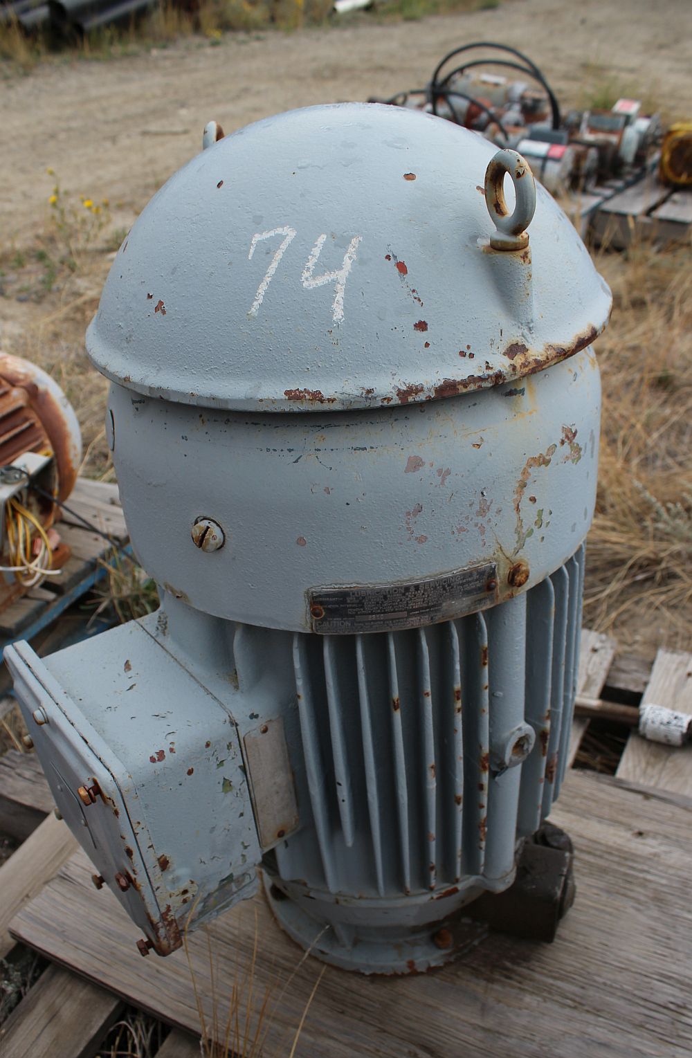 25 HP Vertical Hollow Shaft Electric Motor