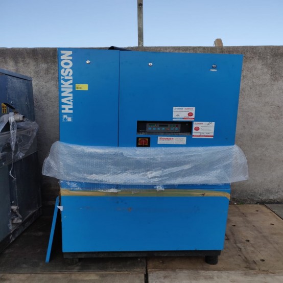 Hankison HDS2700/M5 Air Dryer