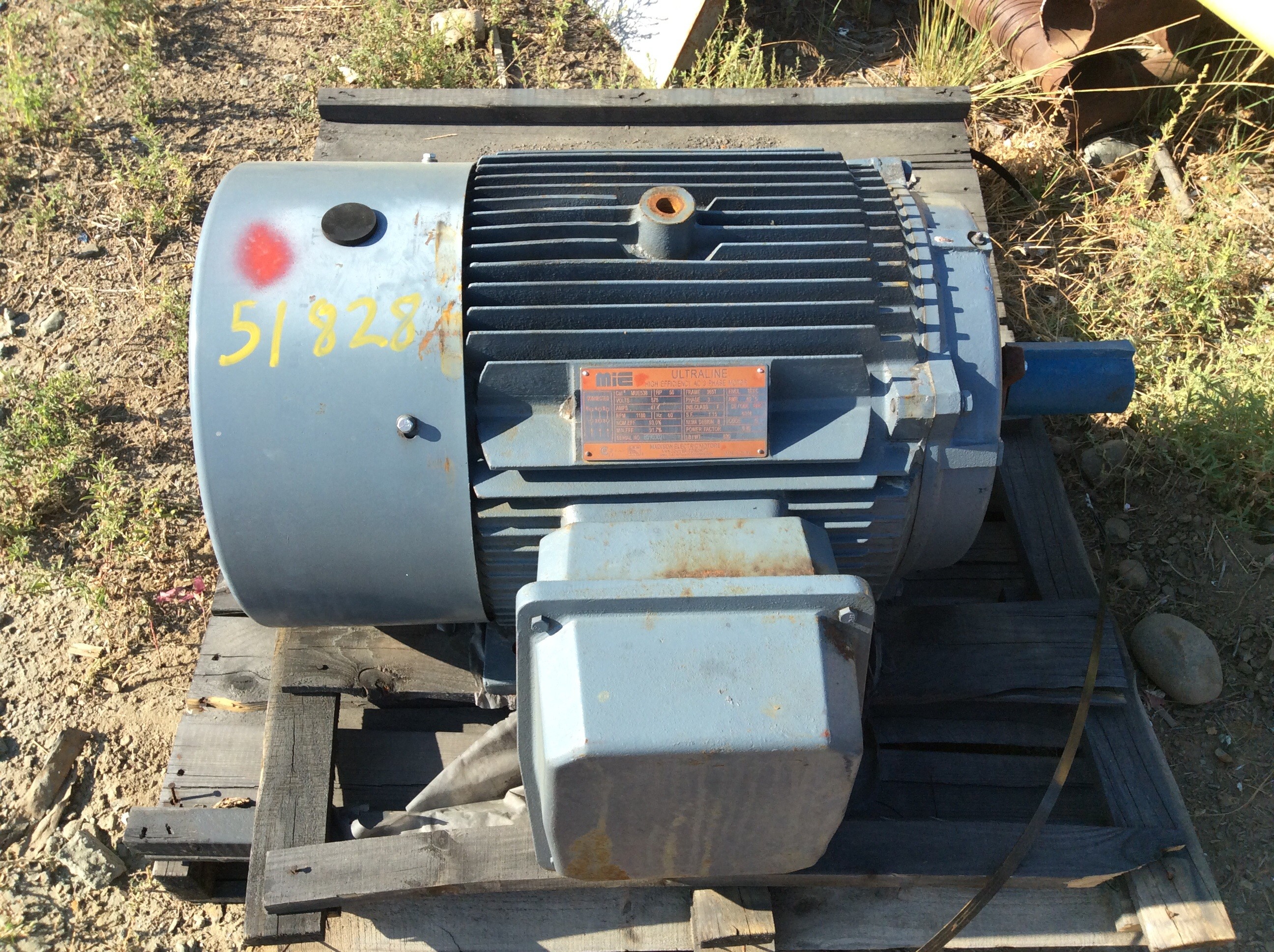 Ultraline 50 HP Electric Motor