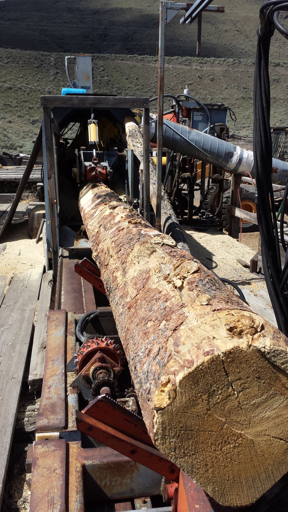 Log Profiler Package/Complete Plant