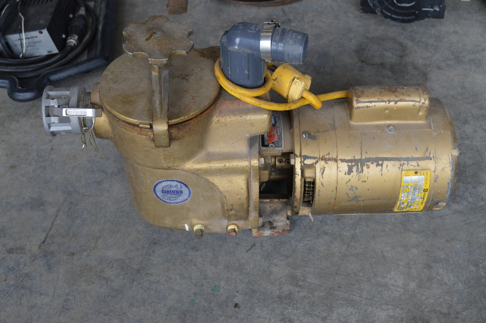 Jacuzzi 2 in. Pump