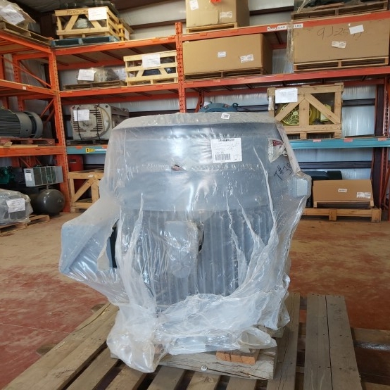 Reliance 125 HP 460 Volt Vertical Motor