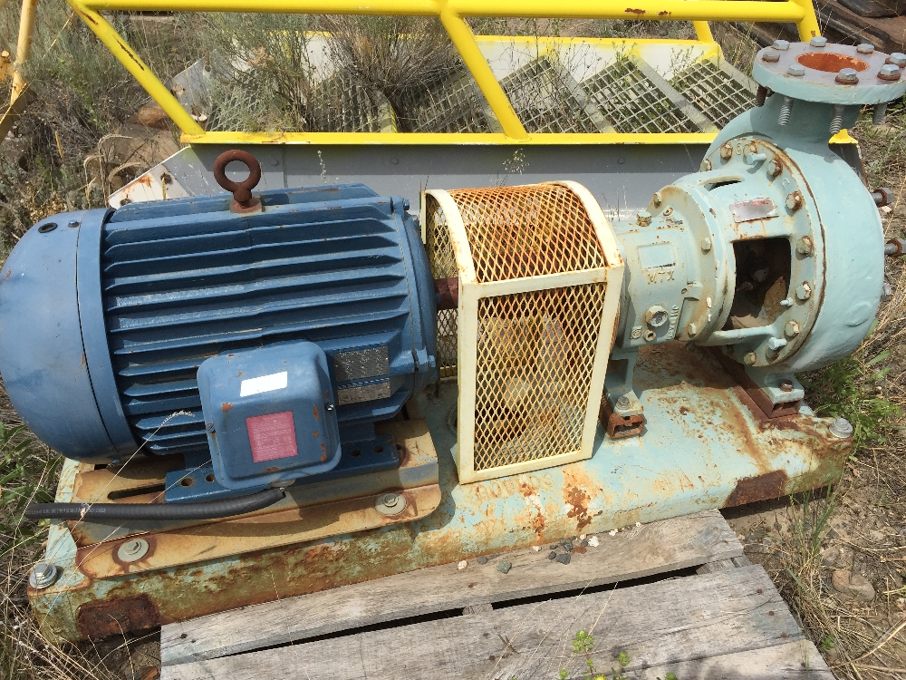 Gould 3 in. Centrifugal Pump
