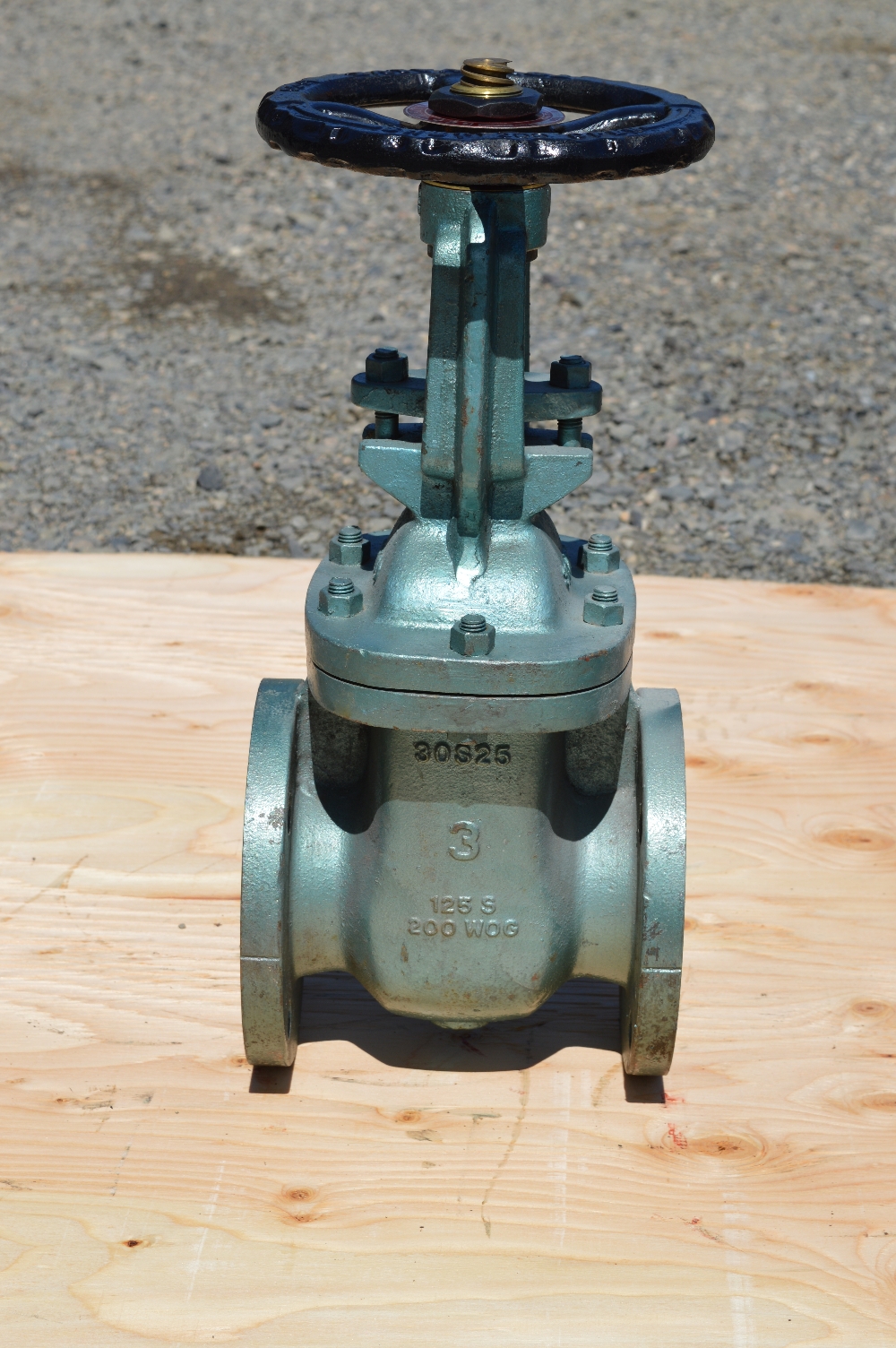 Red White 3 in. Gate Valves