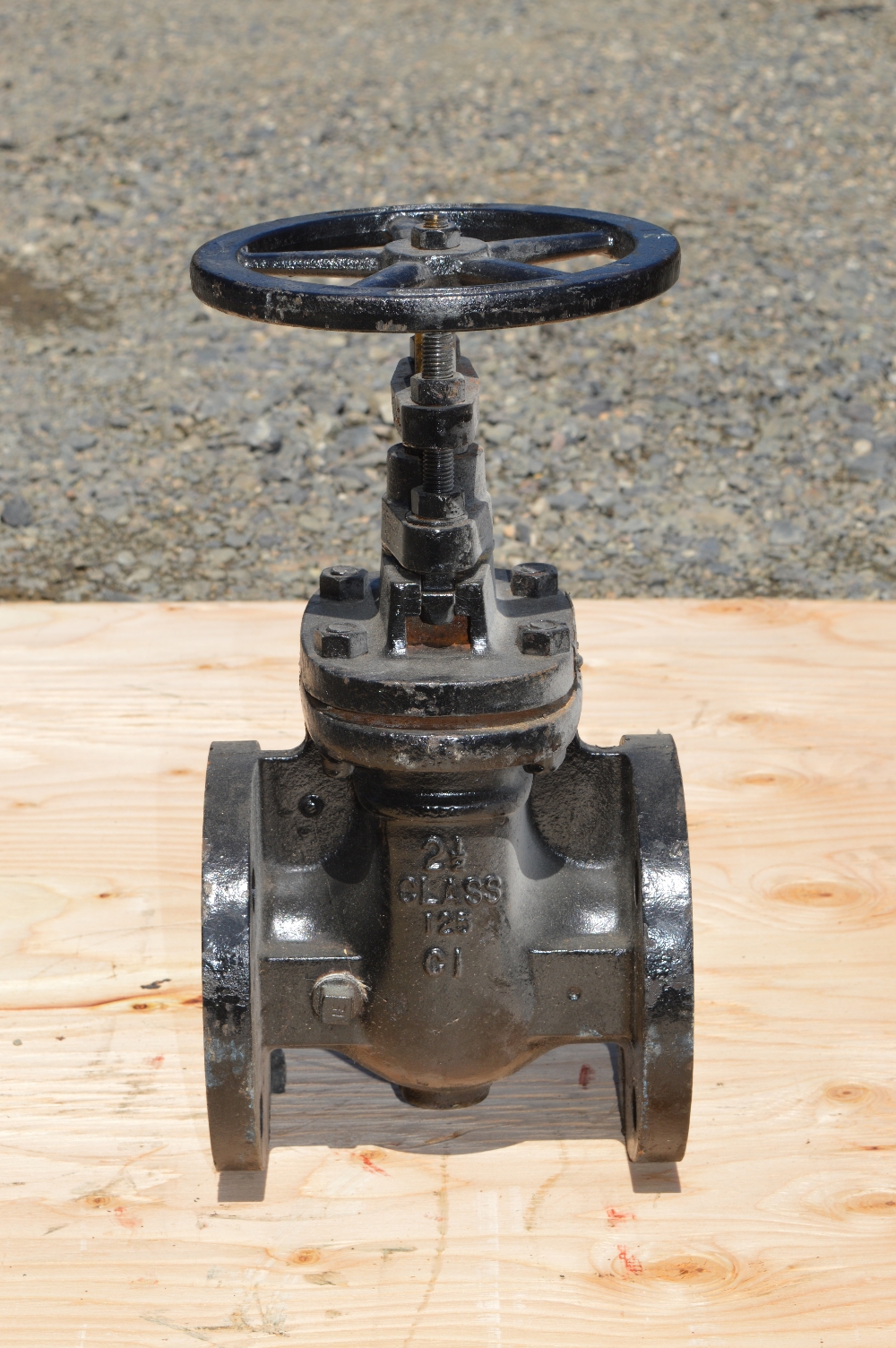 Watts Recco Lawrence 2.5 in. Gate Valve