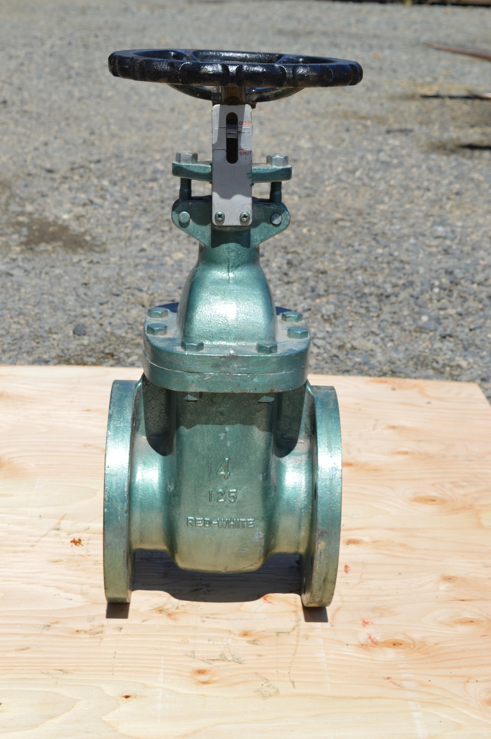 Red White 4 in. Gate Valve