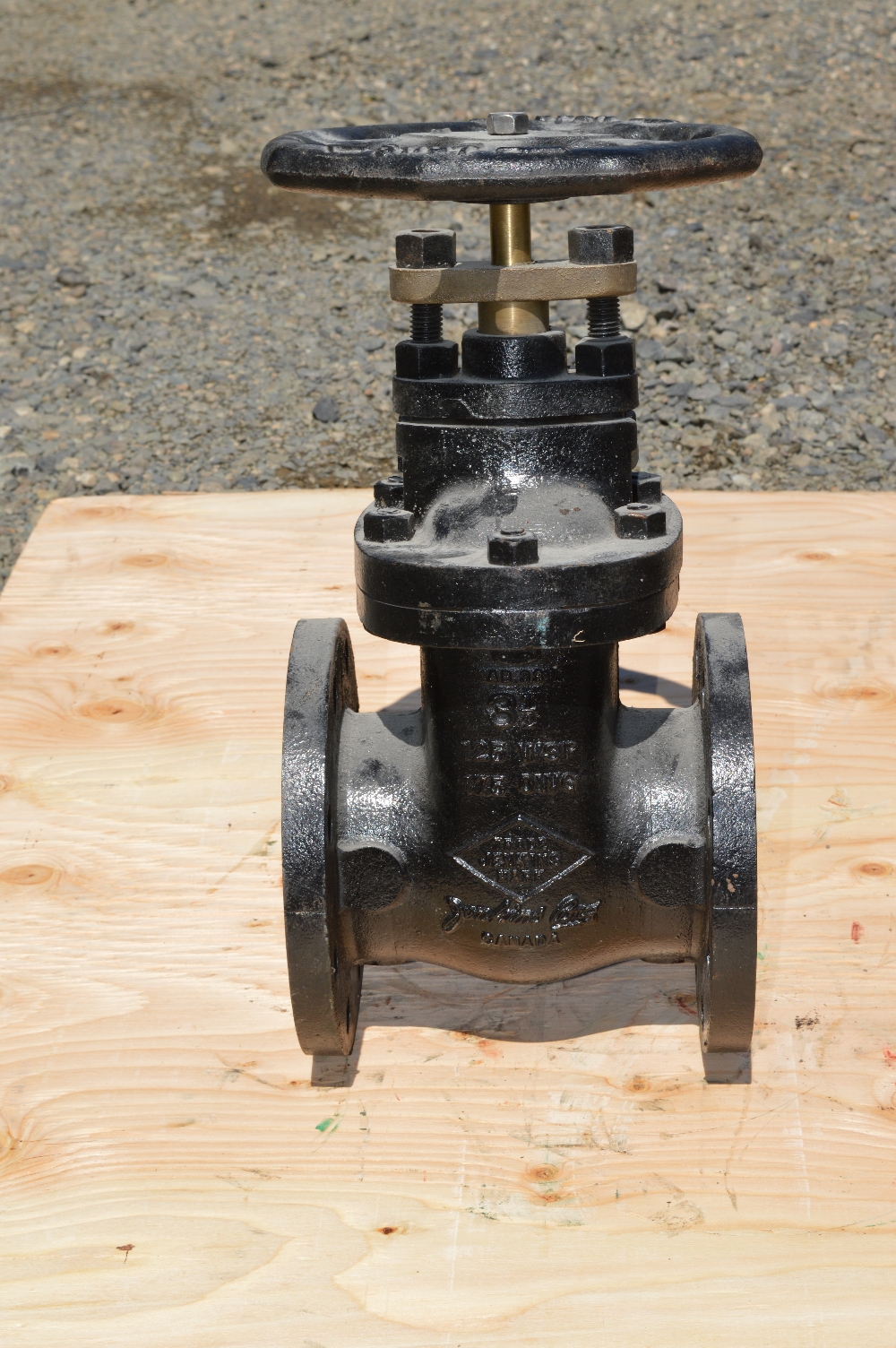 Jenkins Mark 3.5 in. Gate Valve