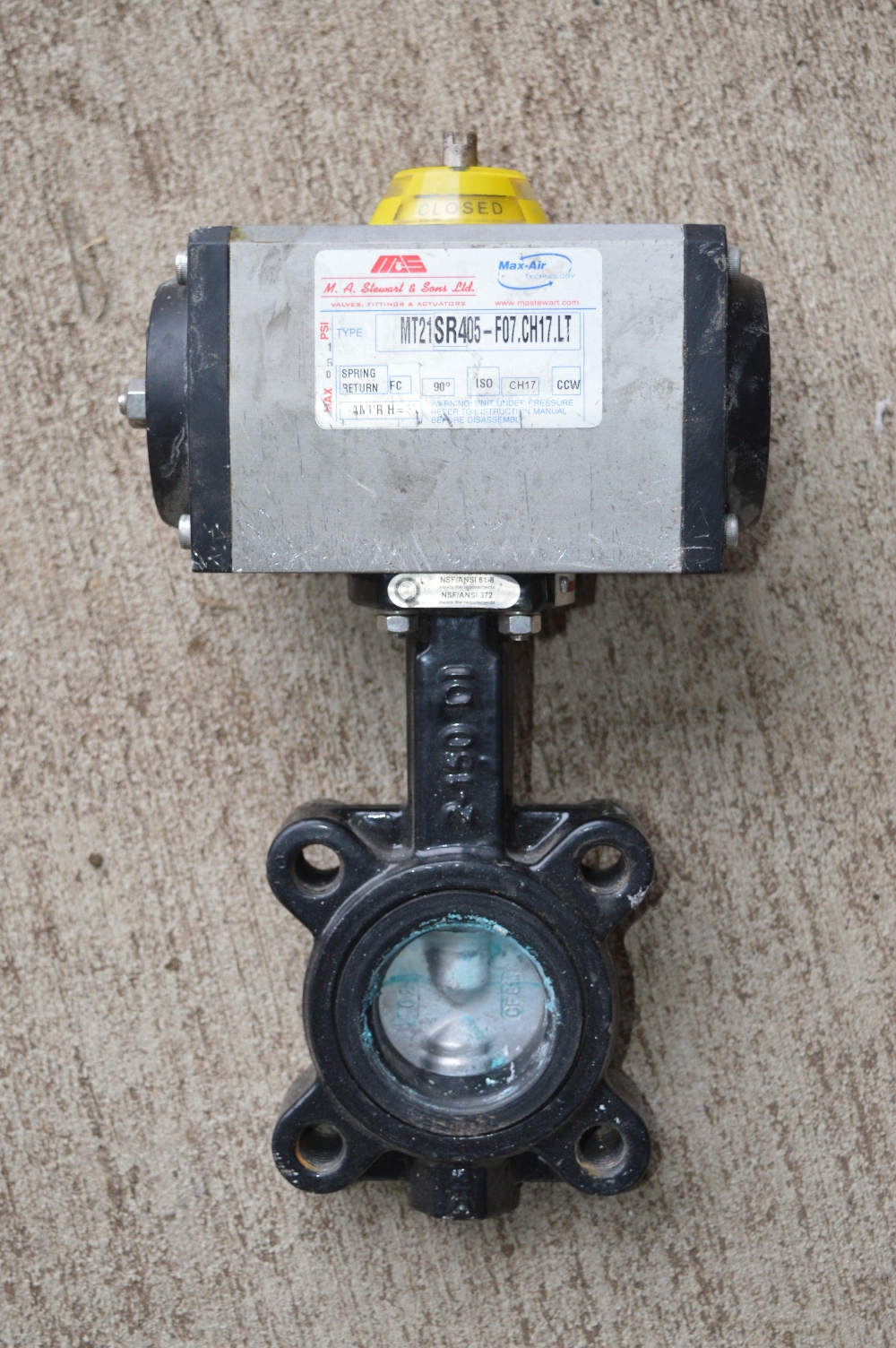 Mas 2 in. Butterfly Valves