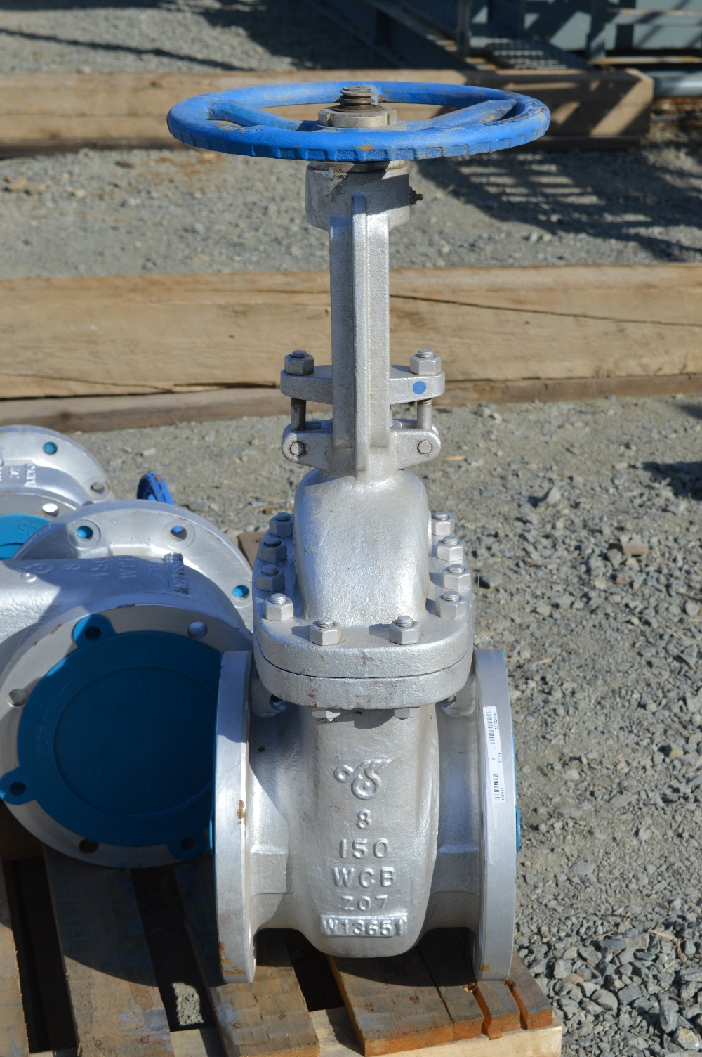 DSI 8 in. Gate Valves