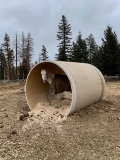 8 ft. Diameter Fiber-Composite Livestock Shelter