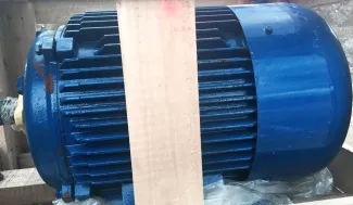 VP 25 hp Electric Motor
