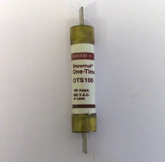 Fusible Un Solo Tiempo Gould de 100 Amp