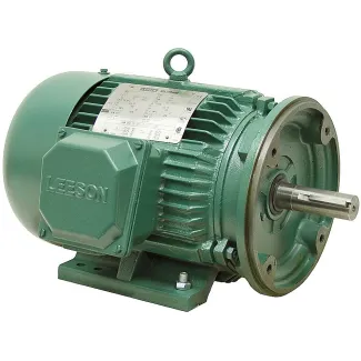 Leeson Wattsaver 3 HP Motor