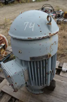 25 HP Vertical Hollow Shaft Electric Motor