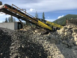 30 in. x 50 ft. Portable Stacking Conveyor