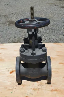Crane 2.5 in. Gate Valve