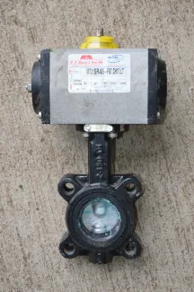 Mas 2 in. Butterfly Valves