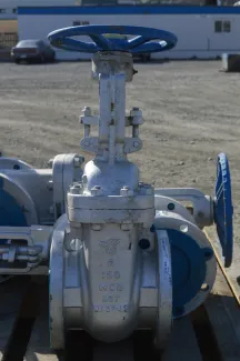 DSI 6 in. Gate Valves